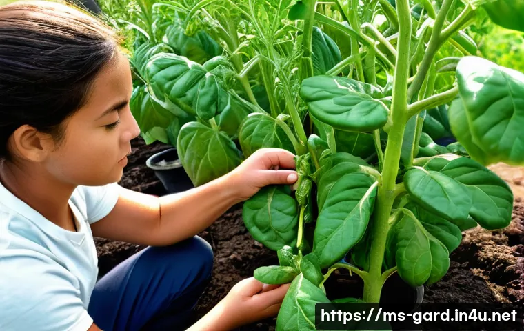 정원 텃밭 해충 방제 제품 비교 관련 이미지 1